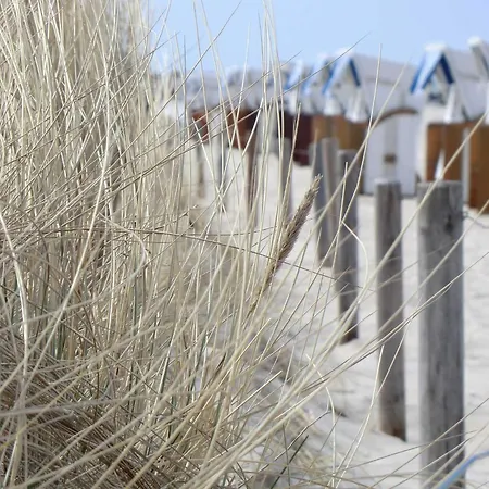 H24 Ferienhaussiedlung Leuchtturmstraße Ferienhaus *