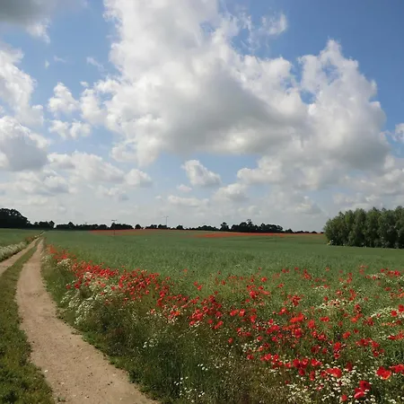 H24 Ferienhaussiedlung Leuchtturmstraße *